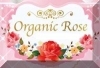 ORGANIC ROSE