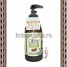 OLIVE Olive & Henna Natural Shampoo Увлажняющий и восстанавливающий шампунь для волос с экстрактом оливы и хны - OLIVE Olive & Henna Natural Shampoo Увлажняющий и восстанавливающий шампунь для волос с экстрактом оливы и хны