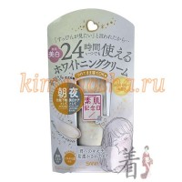 SANA BARE SKIN DAY FLAWLESS NUDE CREAM - Крем-основа для создания естественного макияжа, 30 гр
