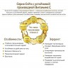 MEISHOKU Vitamin C - Подарочный набор "КОМФОРТ И СВЕЖЕСТЬ С ВИТАМИНОМ С": Антиоксидантный лосьон 150 мл + Антиоксидантный смягчающий крем 45 гр - 816010-4